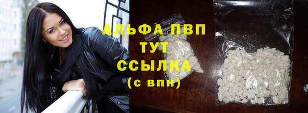 молекула духа Елабуга