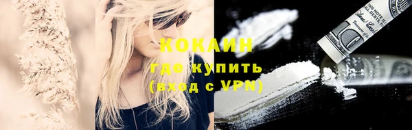 молекула духа Елабуга