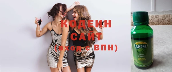 молекула духа Елабуга