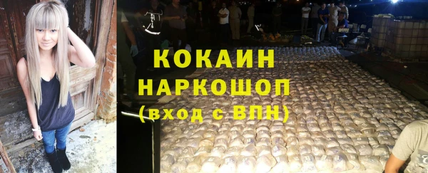 молекула духа Елабуга