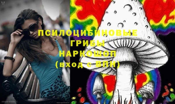 а пвп мука Ельня