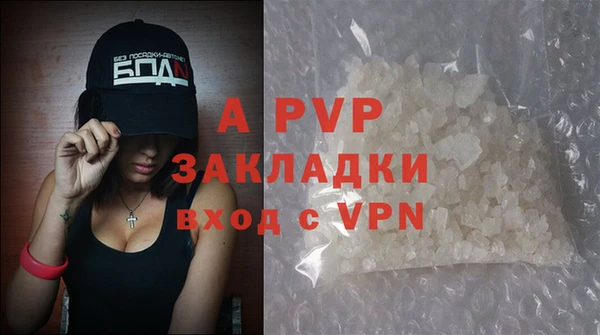 молекула духа Елабуга