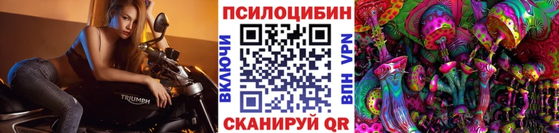Галлюциногенные грибы Cubensis  Заринск 