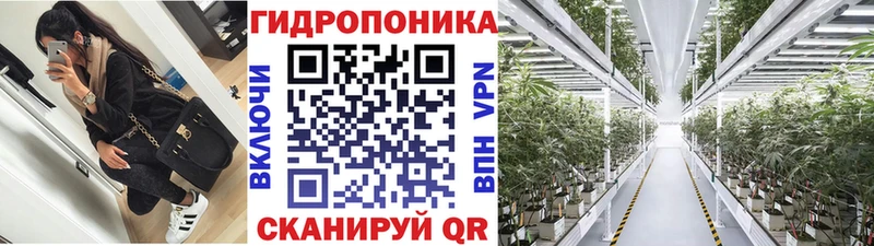 продажа наркотиков  Заринск  Канабис SATIVA & INDICA 